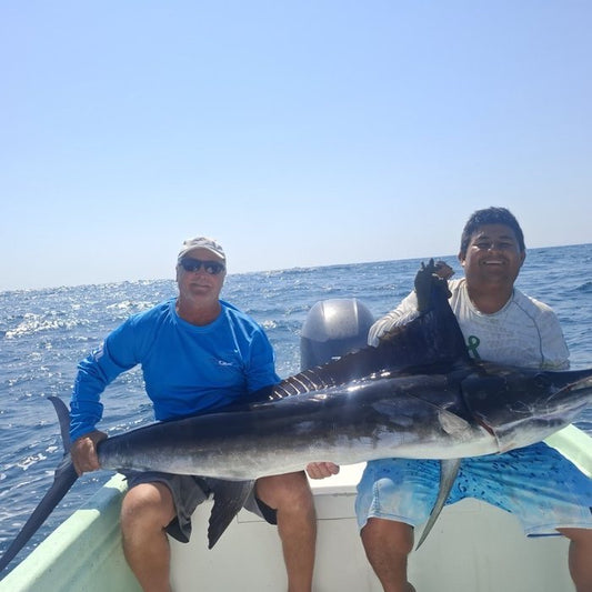 Two anglers with a billfish boatside after trolling a marlin lure spread