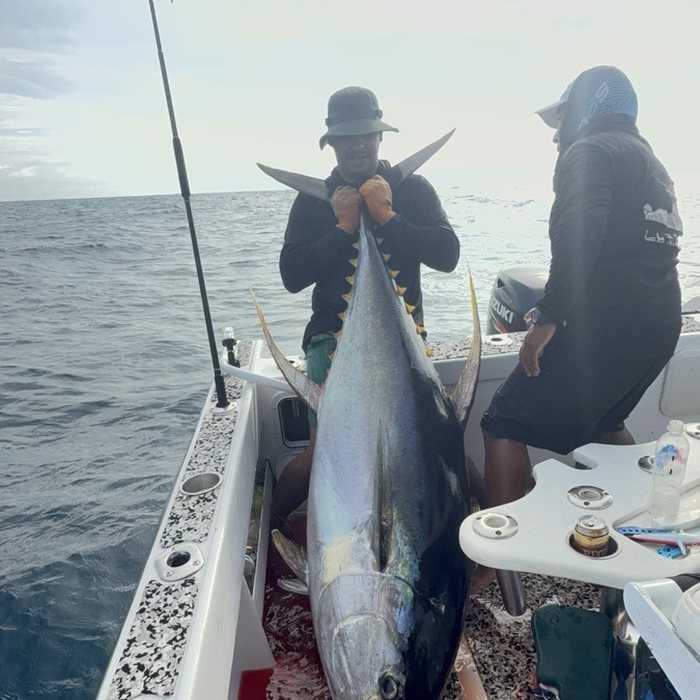 Angler on deck with a large tuna taken on a pre-rigged Viketech trolling lure