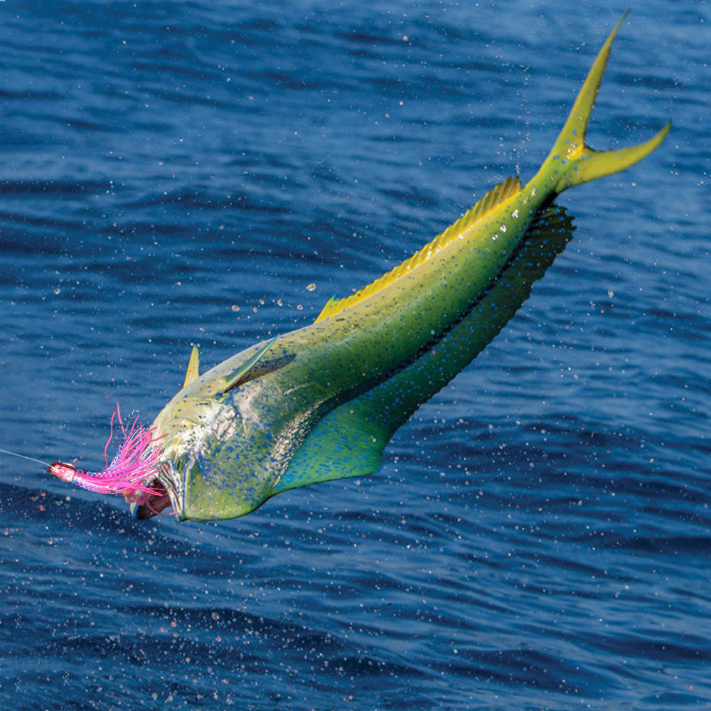 RNLN01 Resin Trolling Lures 8.9" 3.8 oz.