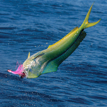 RNLN01 Resin Trolling Lures 8.9" 3.8 oz.