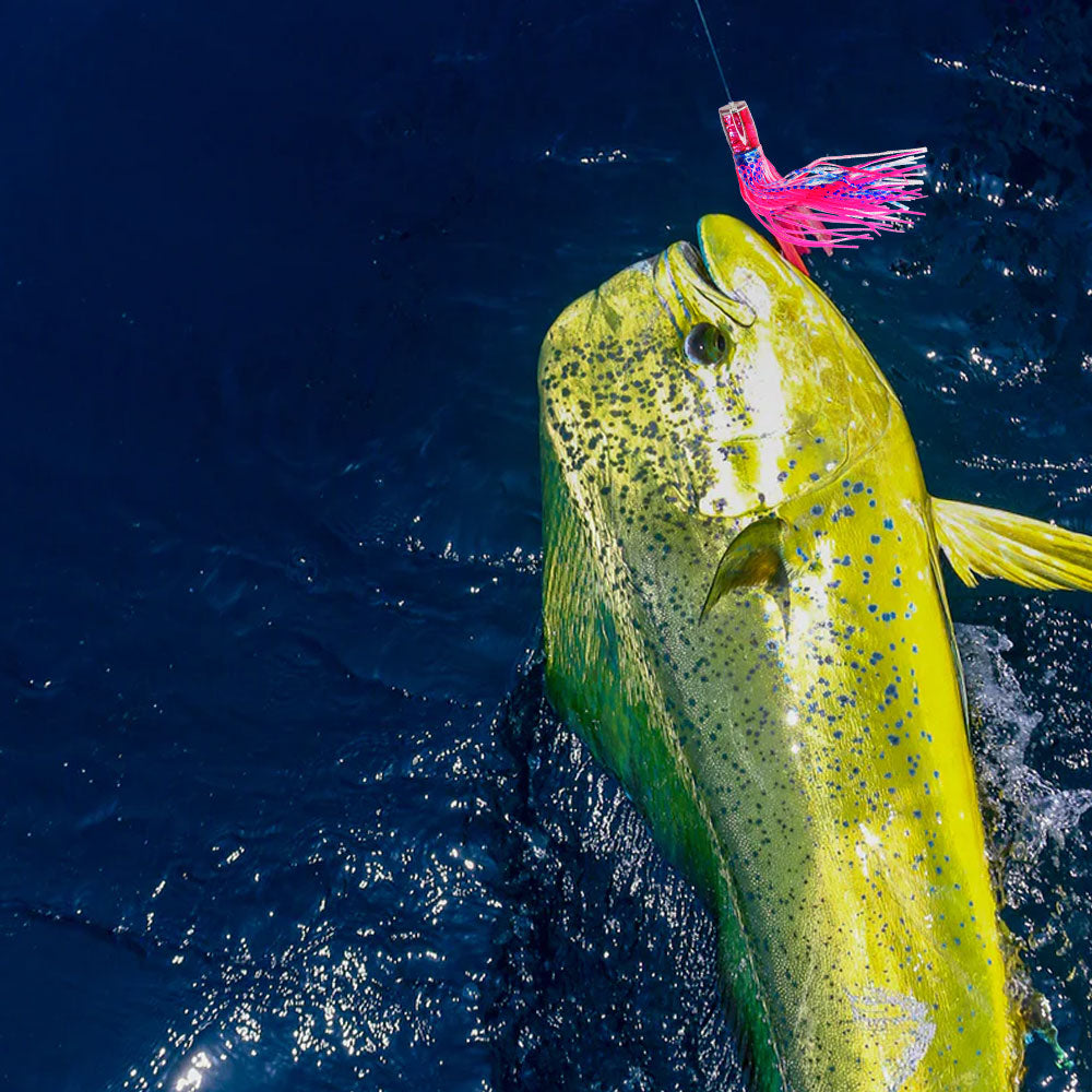 RNLN24 Resin Trolling Lures 9.8" 6 oz.